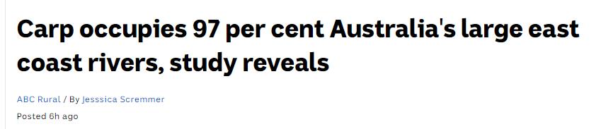 3.6亿条鲤鱼堵塞主要水道，随便一网数百条，澳洲人竟不会吃