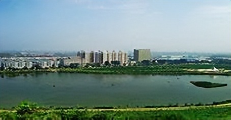 辛巴：为乡村振兴注入新活力，嘉祥藕虾混养立体种养拓宽增收渠道