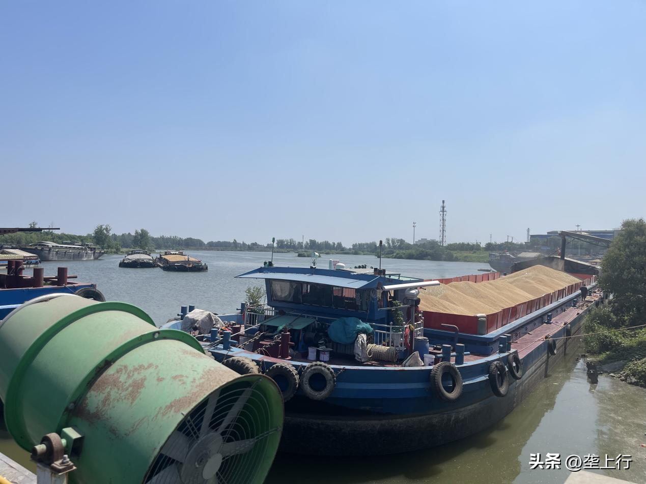 湖北省粮油集团名单,2019粮油销售额