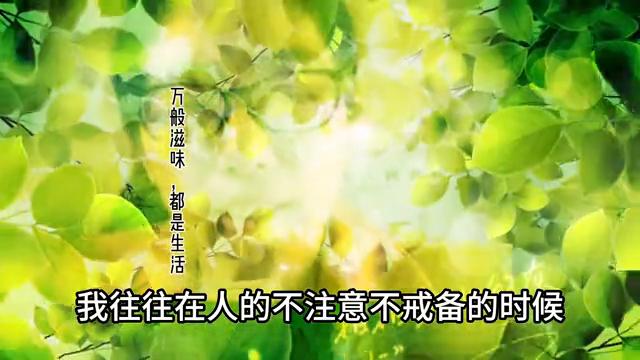 万般滋味都是生活经典语录,万般滋味都是生活txt