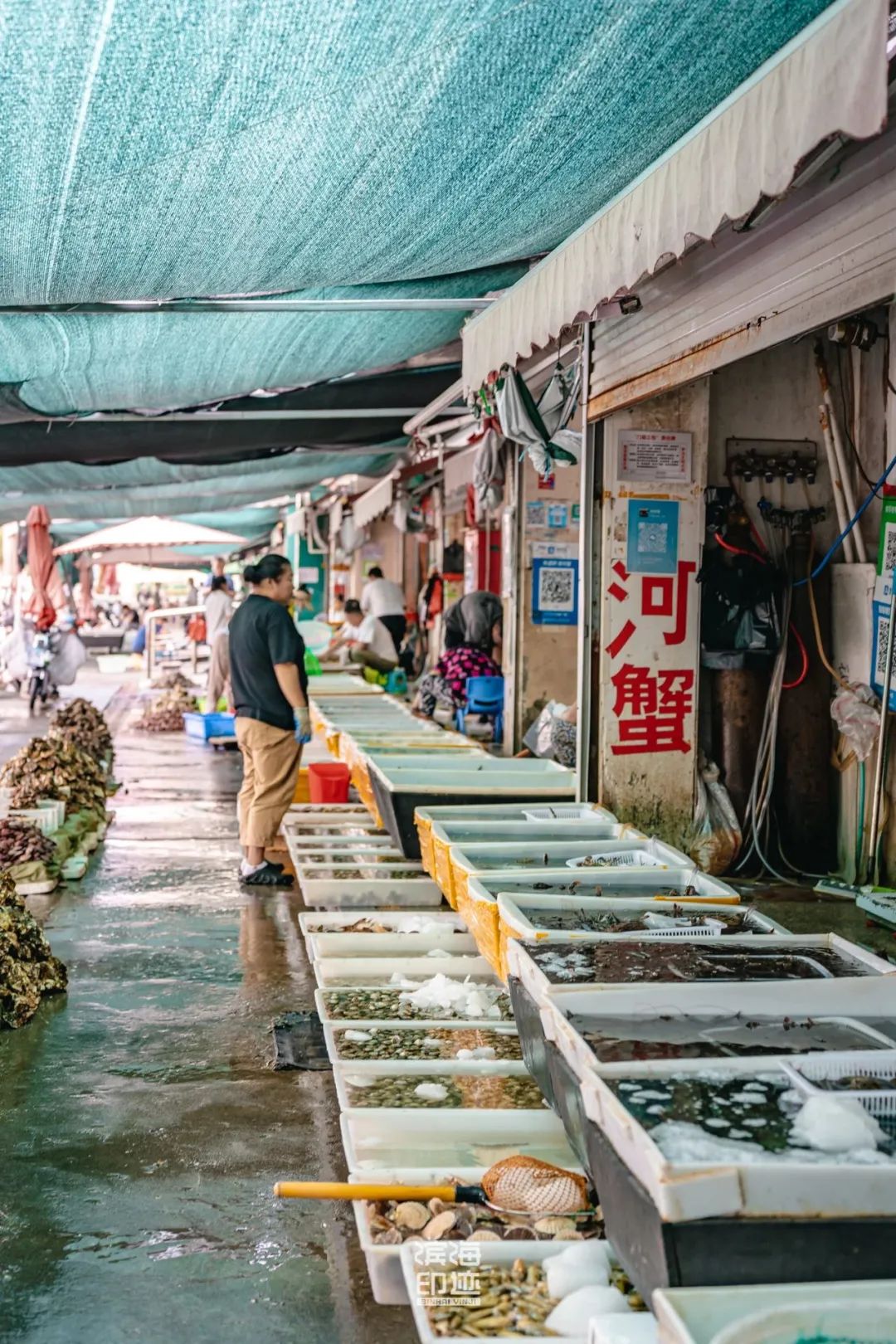 滨海新区海鲜,海鲜一条街滨海新区