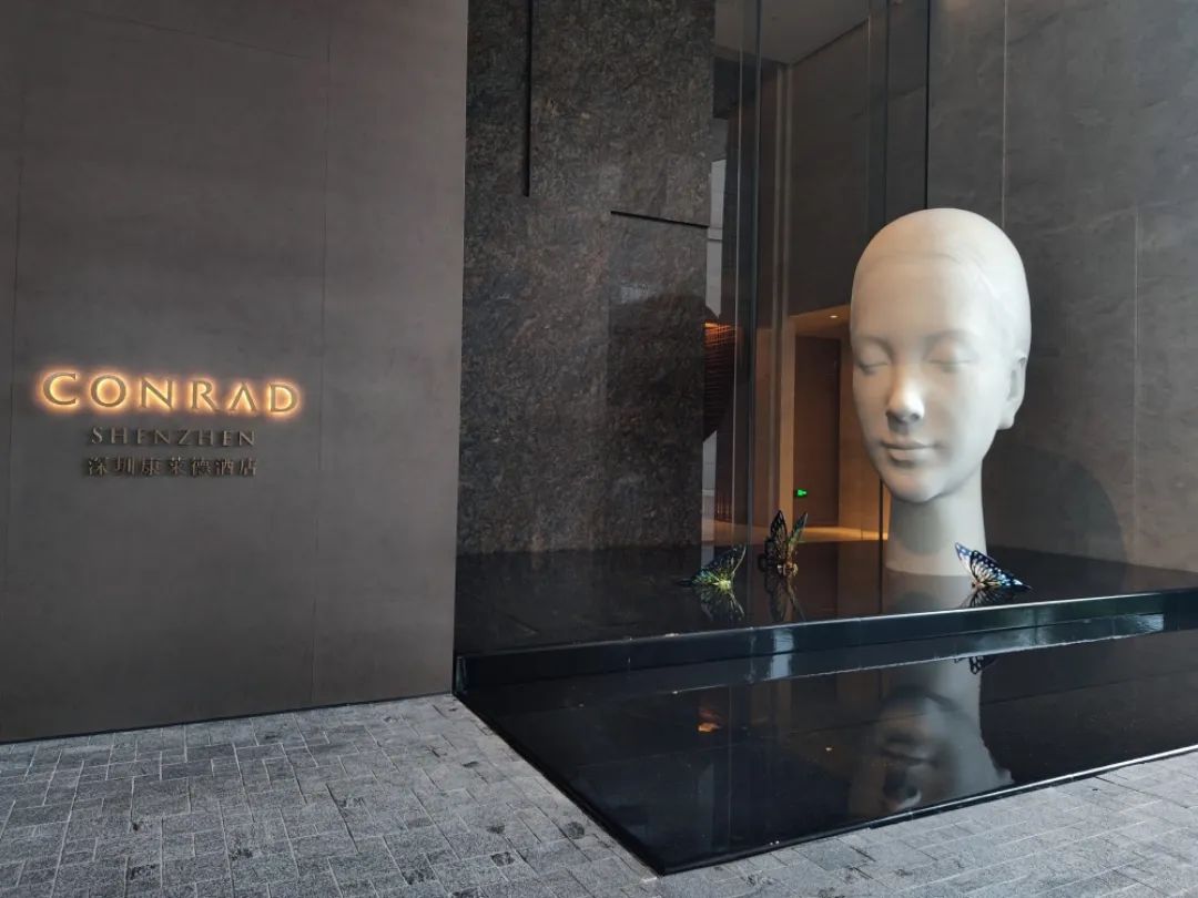 杭州康莱德酒店大厅效果图,深圳康莱德酒店拍摄