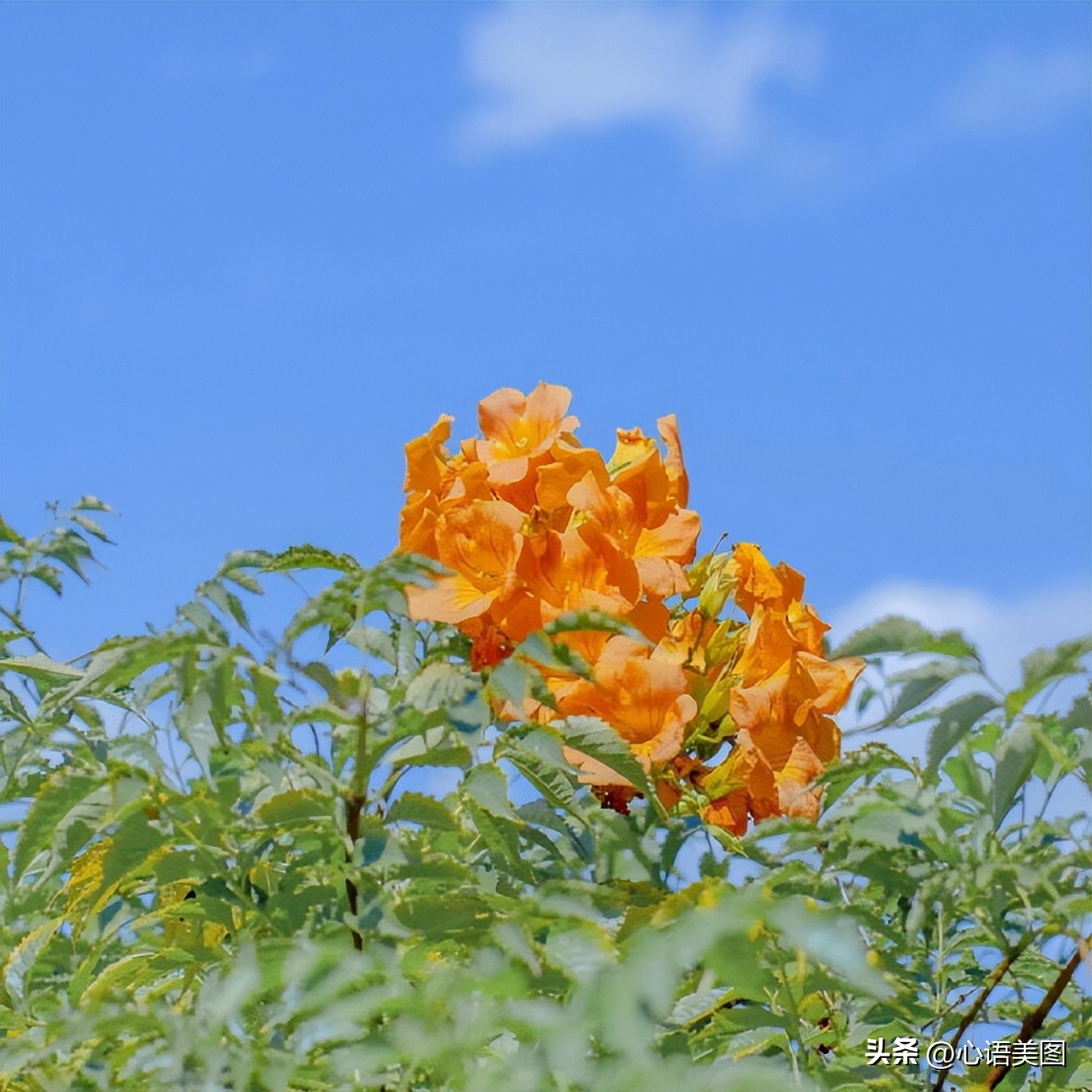 经典热门文案人生感悟短句,一句吸引人的文案句子简短