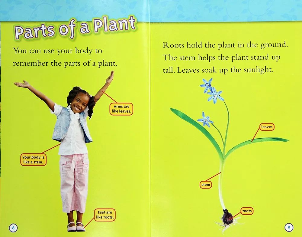 英语分级读物排行榜前十名,小学英语分级读物推荐