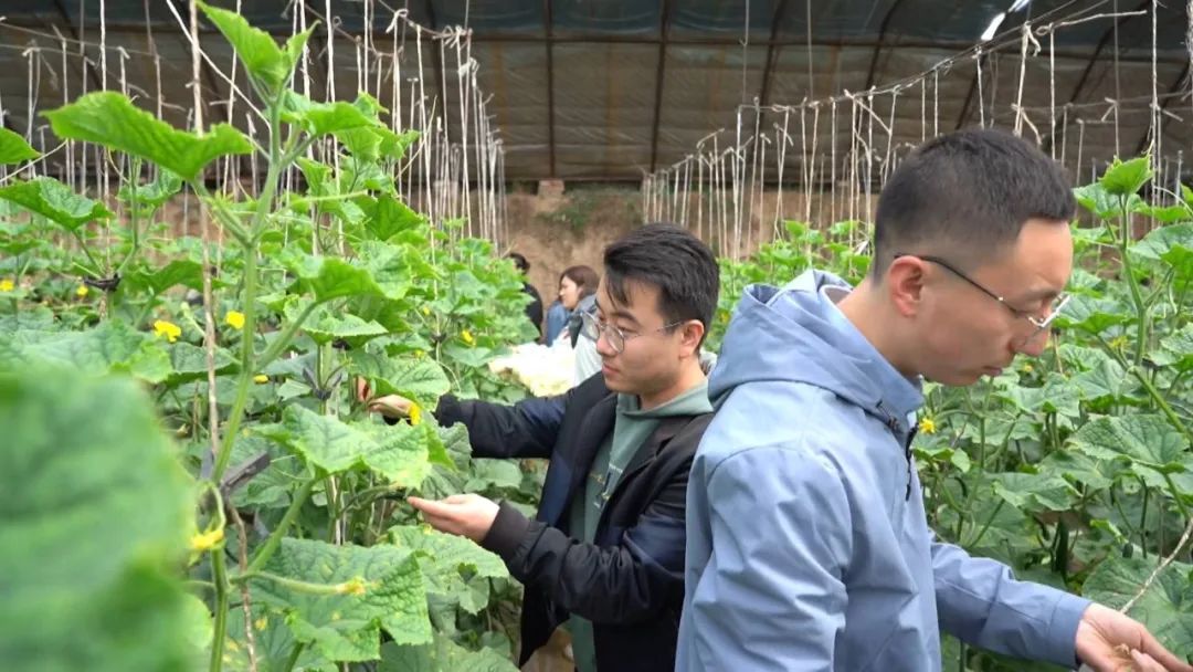 农业实训基地建设方案,新苑农业实践基地