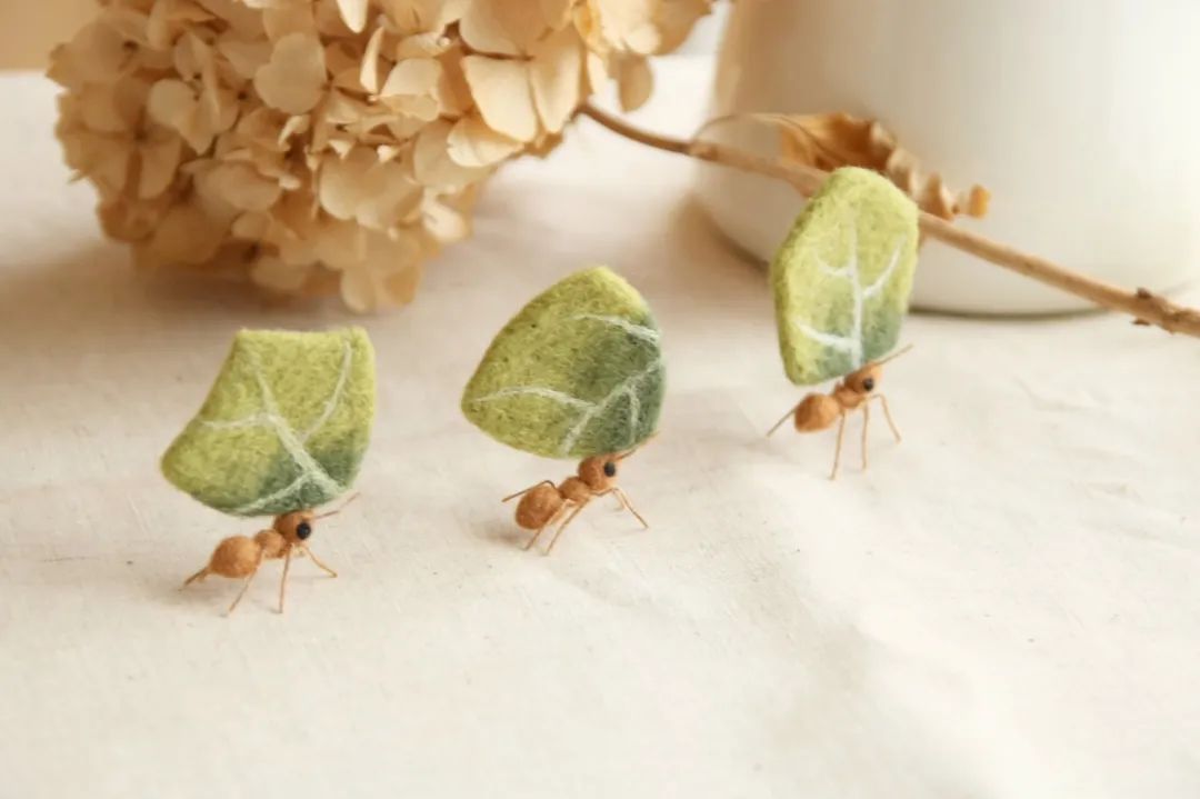 奇形怪状的羊毛毡,奇形怪状羊毛毡