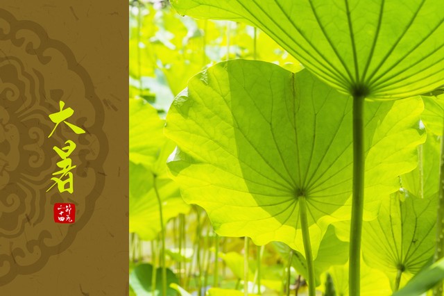 诗词六首开满故园春模样配行文字花更香