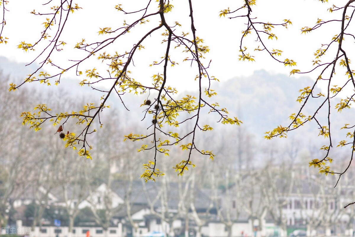 人到中年怎样才算是幸福,人到中年做到这3点才算活得通透