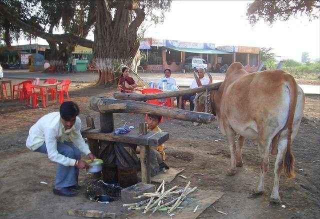 温酒战新冠：新冠几时有？把酒问青天