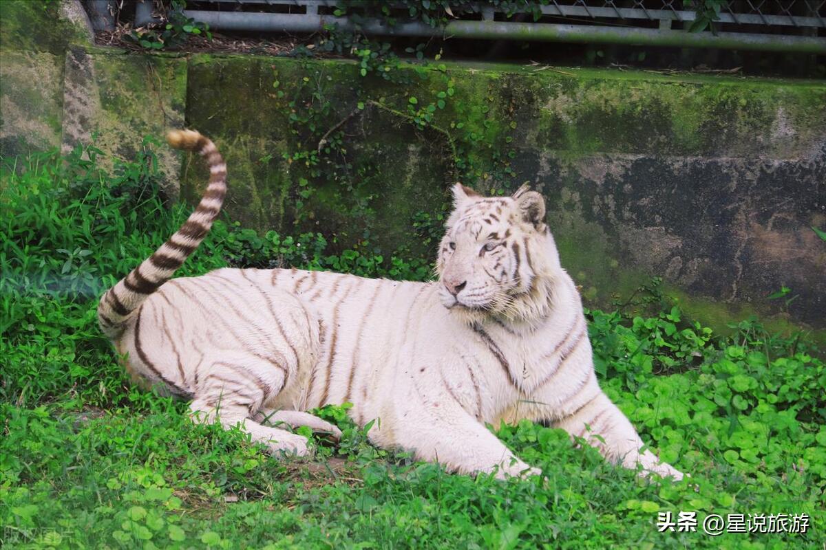 上海适合老年人去的景区,上海四星级旅游景点排名榜