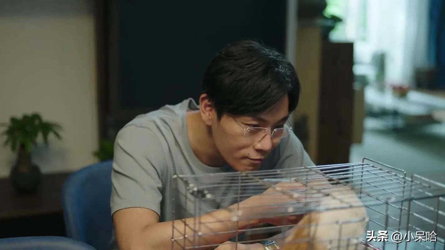 《白夜追凶》排第二，《开端》排第八，给近10年的悬疑剧排个名