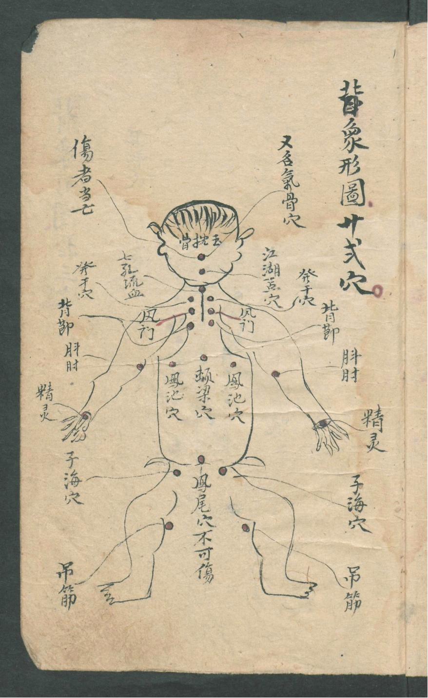 华佗仙师秘传01,华佗仙师秘传全集