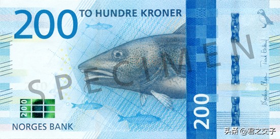200挪威克朗背面,200挪威克朗是多少人民币