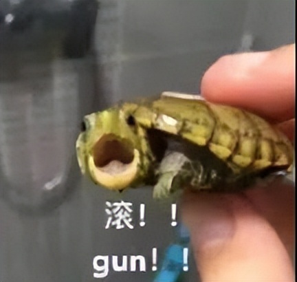 男的裸聊被威胁了怎么办,男的裸聊被威胁怎么办