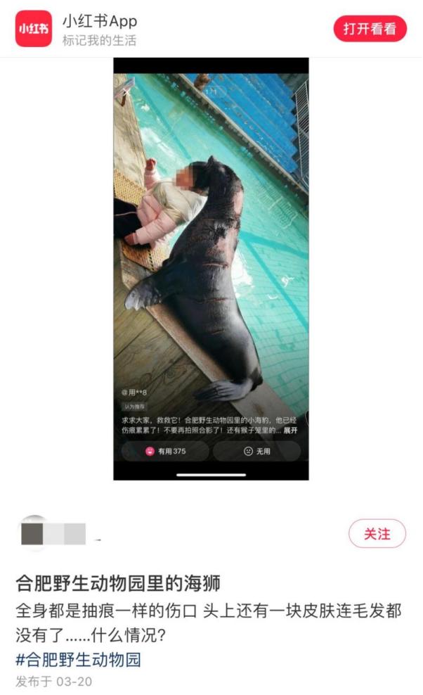 女子携子弹乘坐高铁,女子携带子弹坐高铁被查处