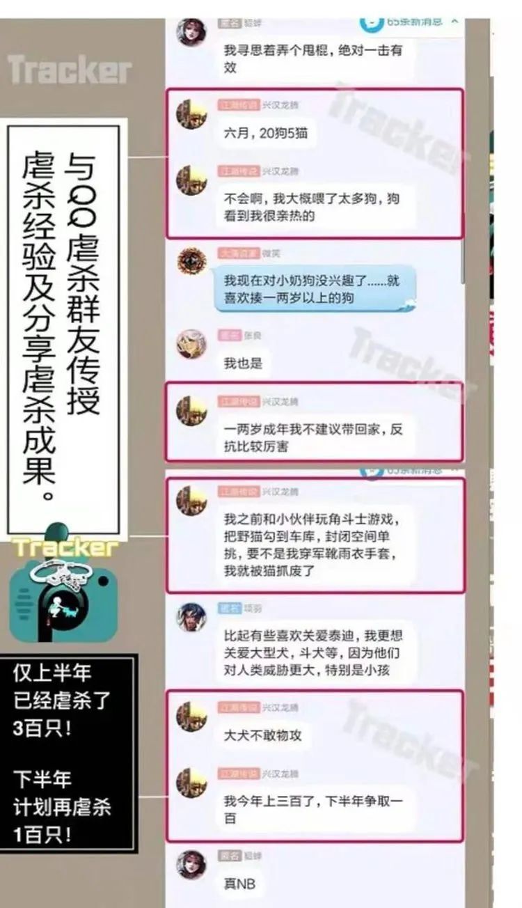 热搜上的网红，早该进监狱了