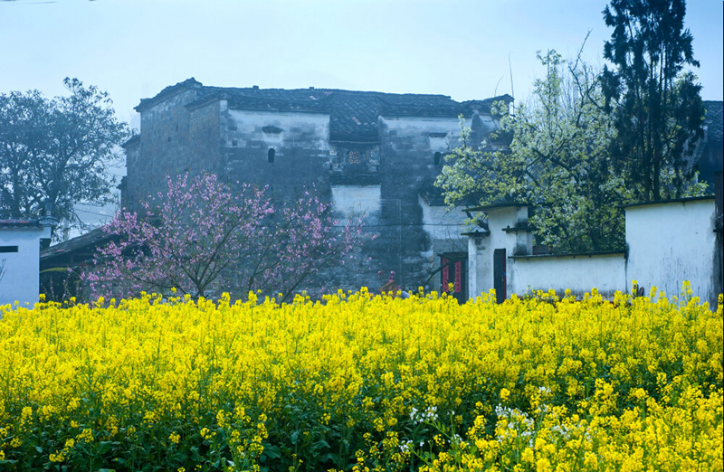 婺源摄影写真,2019梦幻之秋婺源三天摄影创作团