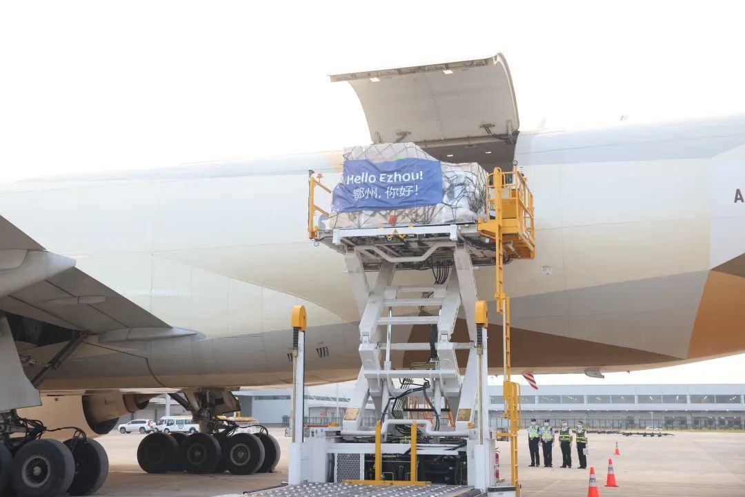 机票政策航线,机场航班信息最新版