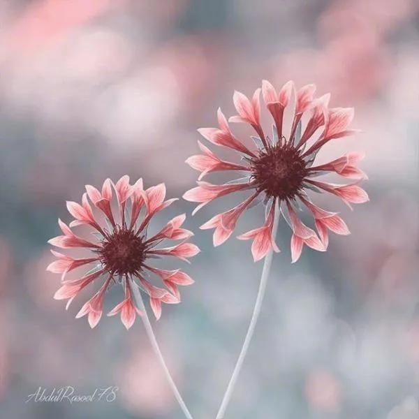 用尊重做牙签：给对方情绪的气球留个针眼