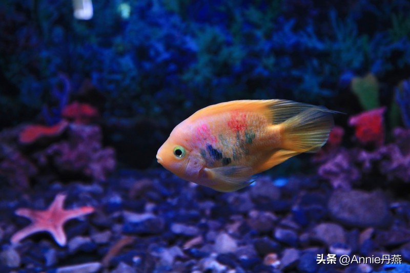 四川万源市旅游攻略,四川达州周边旅游攻略景点必去