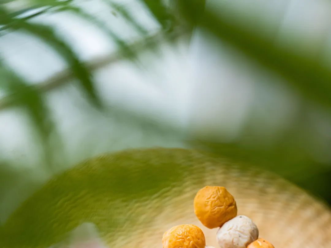 哈尔滨比较火的零食,哈尔滨必买的零食排行榜