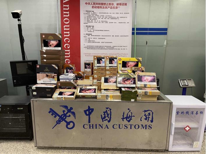 女子携子弹乘坐高铁,女子携带子弹坐高铁被查处