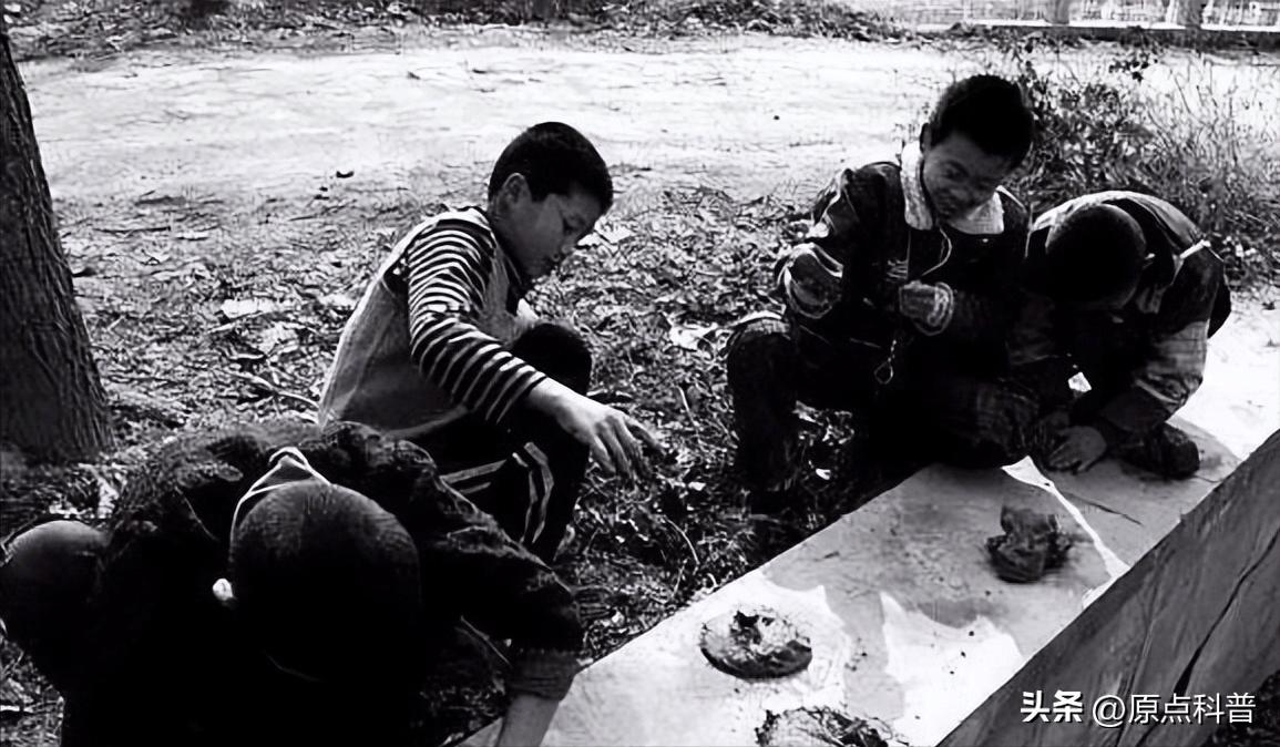 那些90后童年玩过的东西,盘点童年玩过的东西