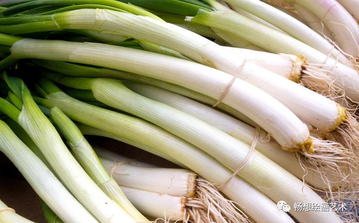 疯狂的大葱油画棒,大葱重彩油画棒