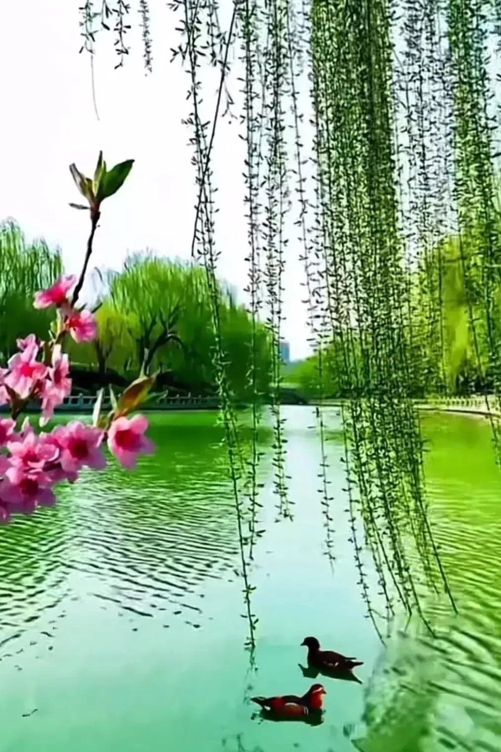 《柳梢青·谴诗坛乱象（《词林正韵》正体》注解⑵