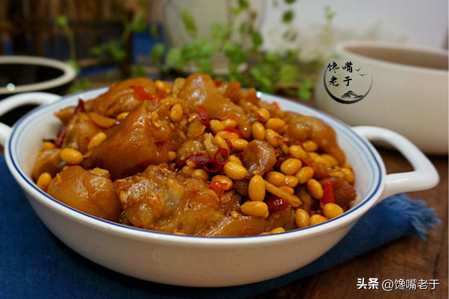 1.5阳吃什么能提高免疫力 (阴阳双补提高免疫力抵抗力)