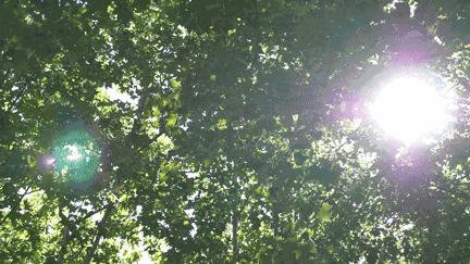 一年四季必备的防晒神器,用什么防晒神器好一点呢