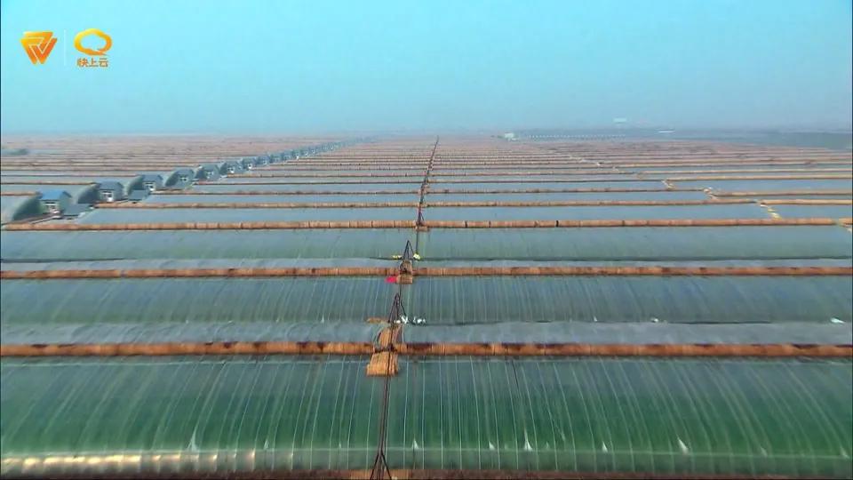 潍坊近几年社会发展的辉煌成就,潍坊未来10年的经济发展