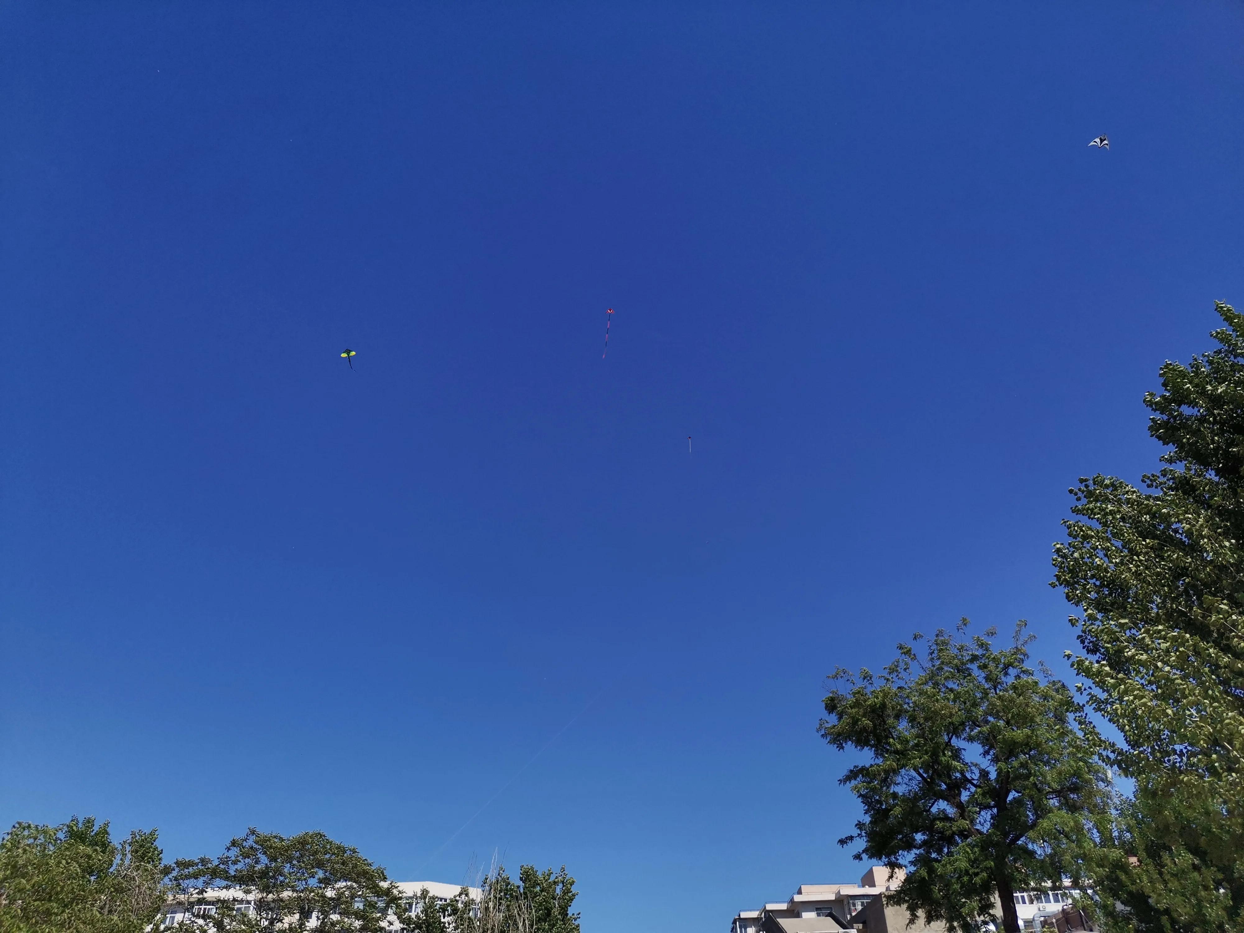 王串场公园有什么,王串场公园地图