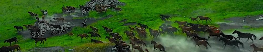 美国危机升级，我国不买了，欧美巨头陷衰退，欧洲要求美国买单