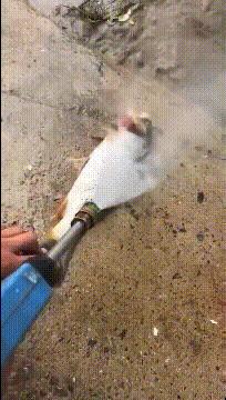 给力的一字马,给力的一字马后续