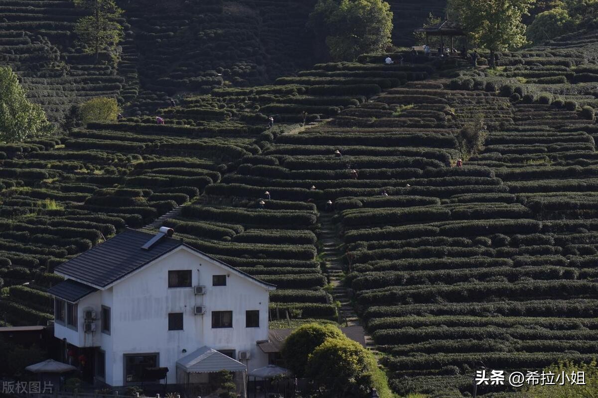 杭州新西湖十景更适合游览哪一景,杭州西湖新十景游玩攻略