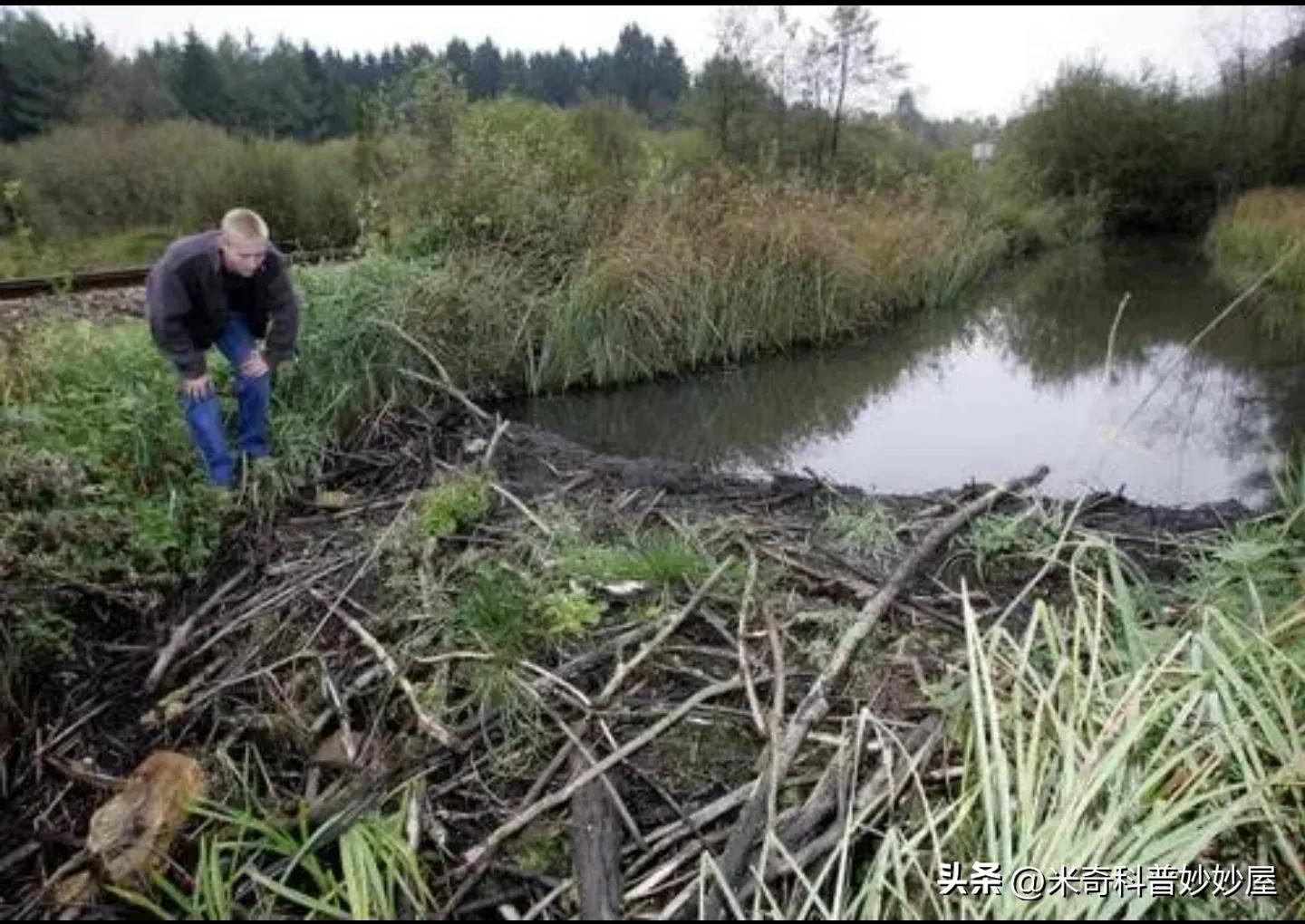是大脑控制你，还是你控制大脑呢？