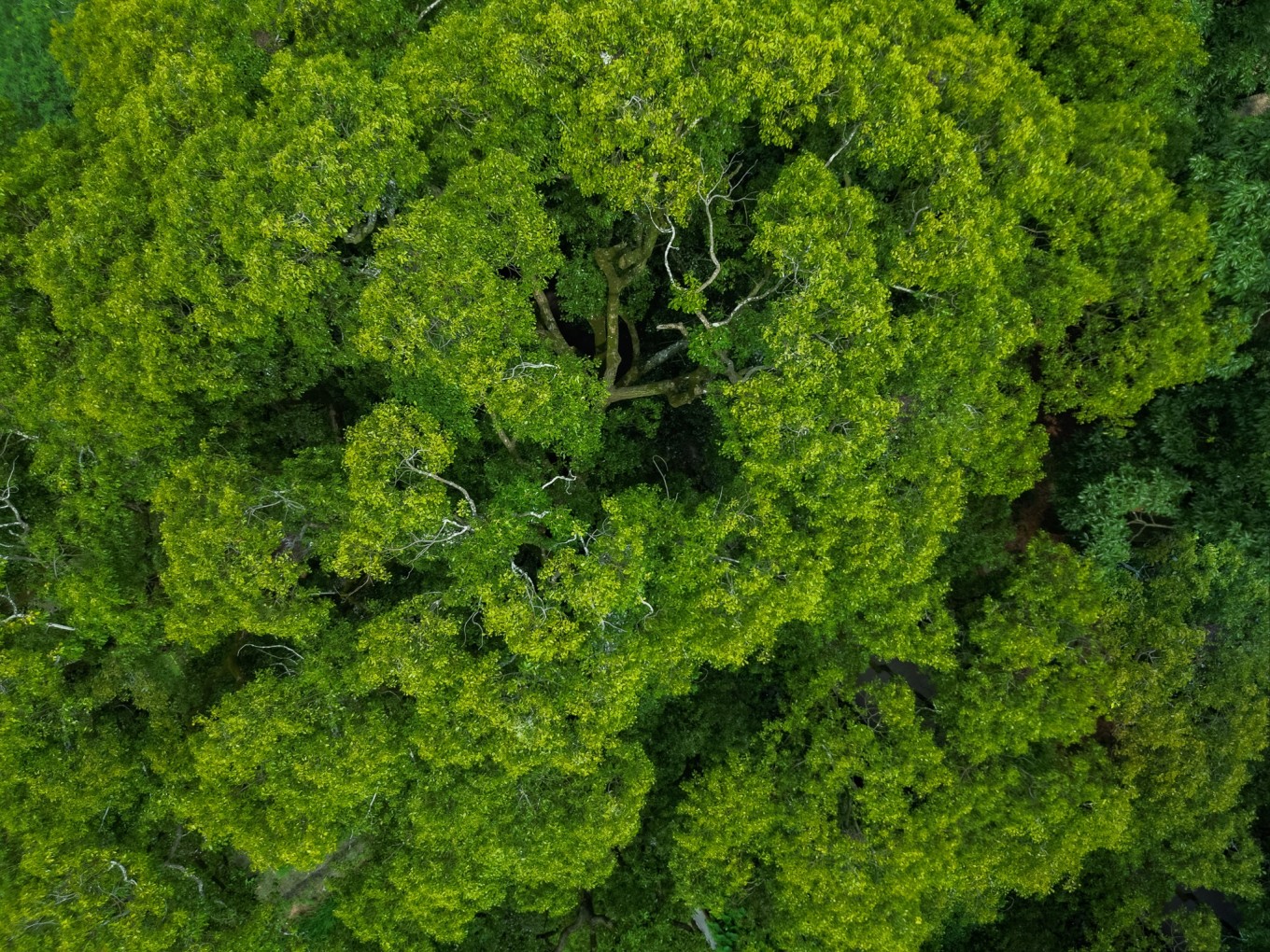 宜春冬天风景,关于江西宜春美景