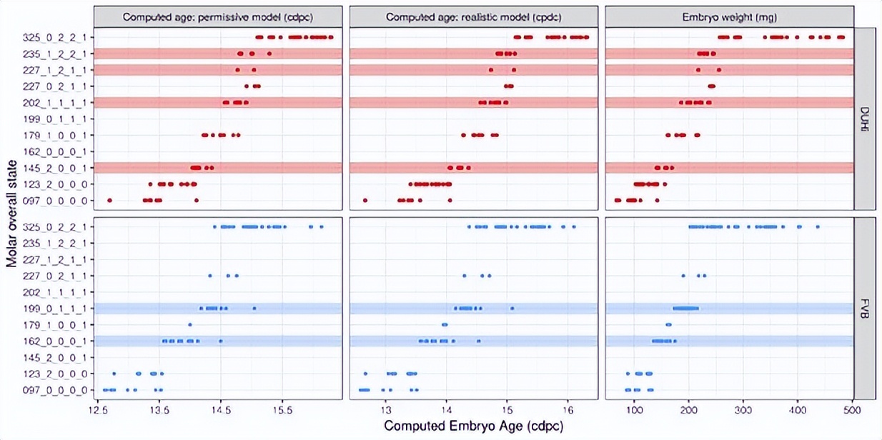 基于小鼠磨牙进化演变，研究其发育变异性通道的进化过程