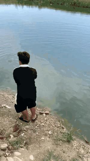 小鳄龟为啥养着养着就断尾了,以前不理解别人养宠物