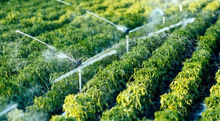 2023农田改造最新政策消息,2020年全国高标准农田改造