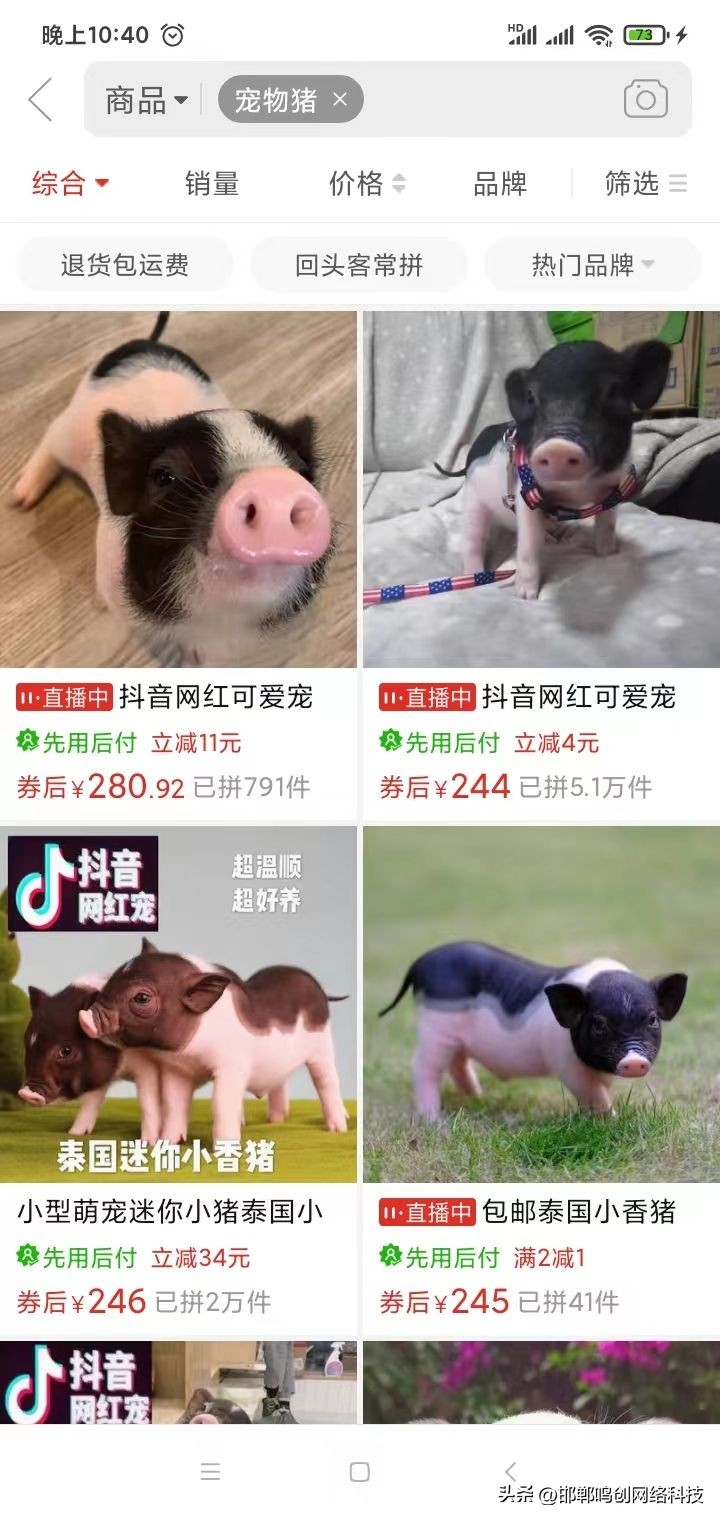 没有买卖就没有伤害的动物,没有买卖就没有伤害皮草公益广告