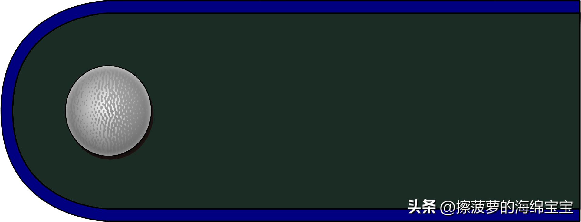 二战德国国防军医疗兵军衔标志