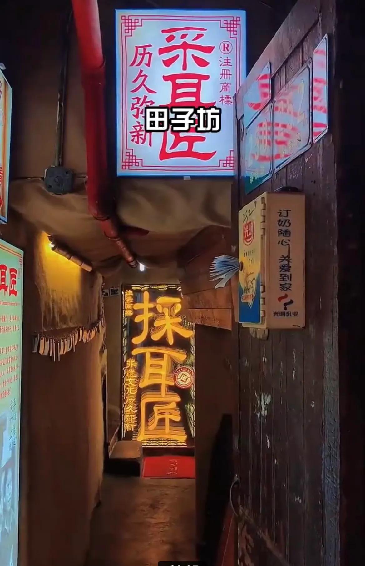 带孩子上海值得玩的景点,上海奉贤旅游景点推荐