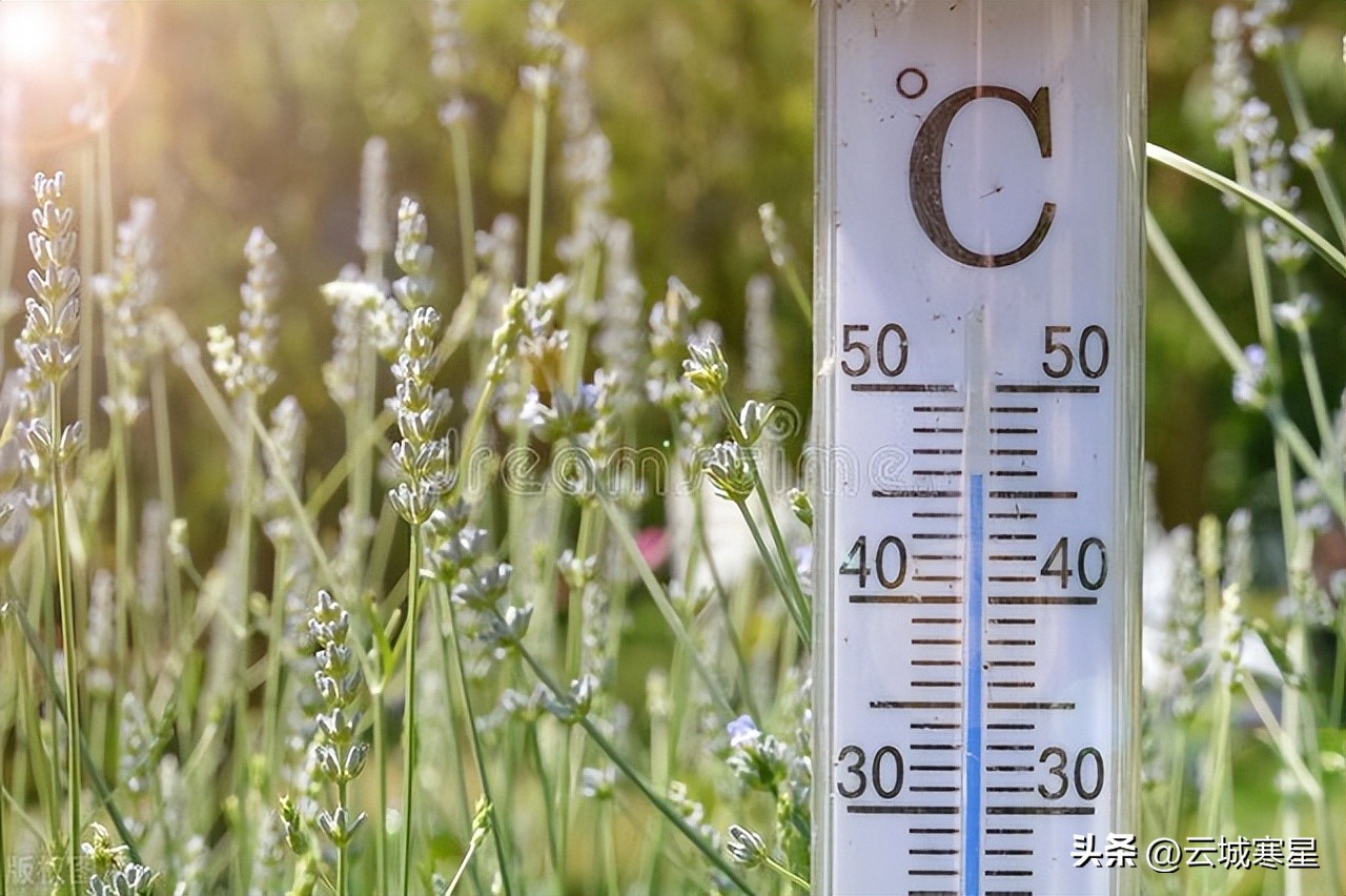 世界各地频繁创高温纪录,全球高温纪录被破三次一知半解