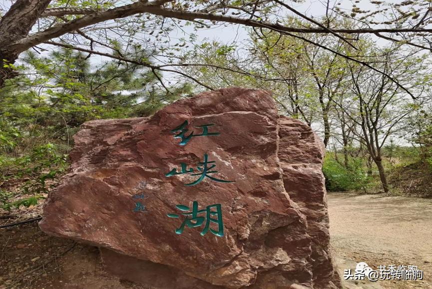 春游汲滩,春游绿博园