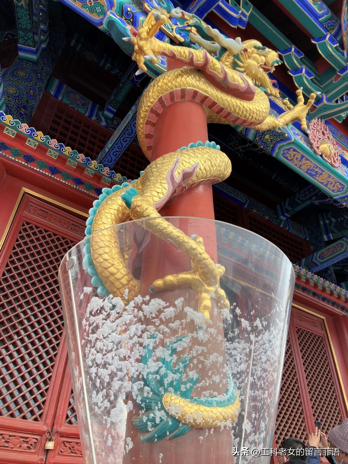 沈阳故宫今天的雪景,沈阳故宫冬天能看到雪吗