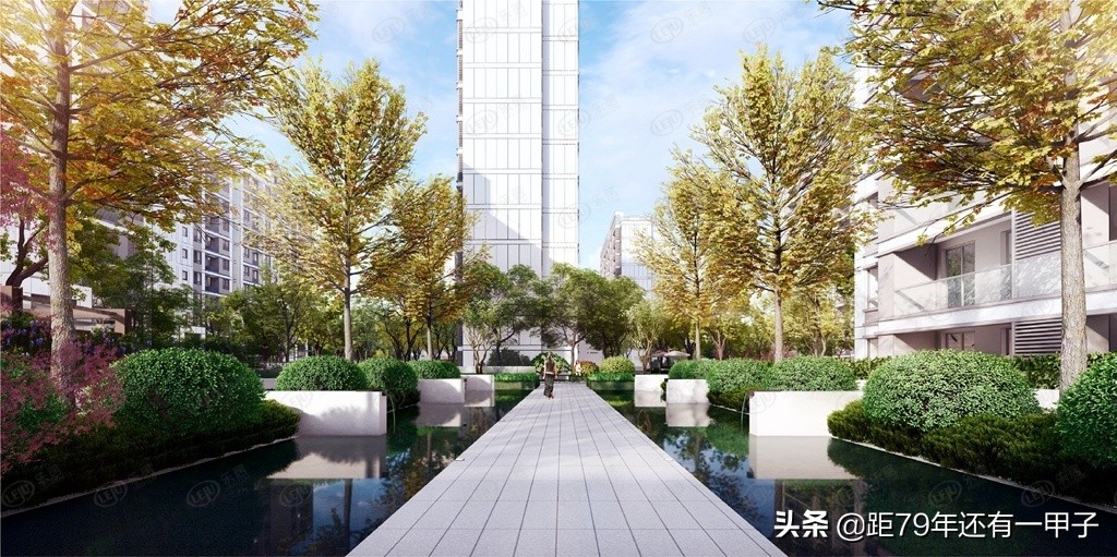 苏州金科最新楼盘出售,金科洋房清水房