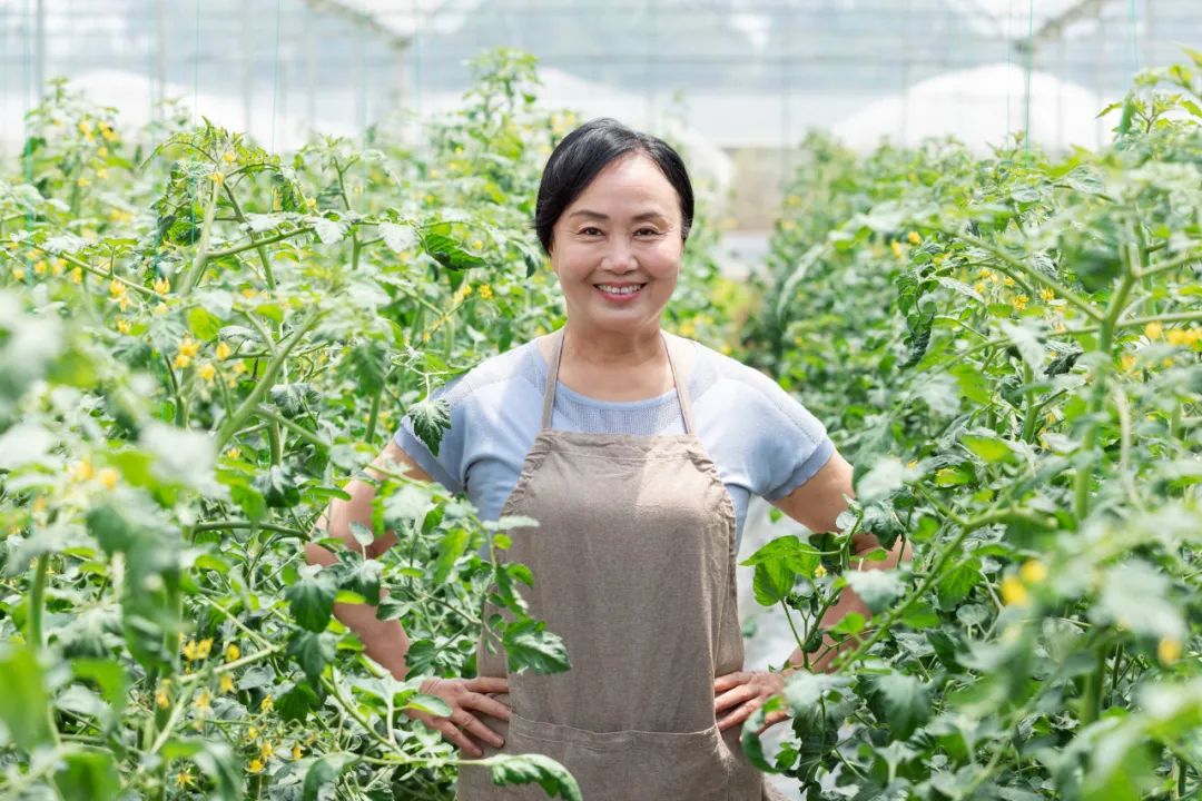 有机农场的盈利模式,有机农场的发展前景