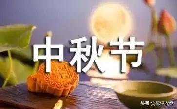 中秋佳节将至的意思,中秋将至俗语